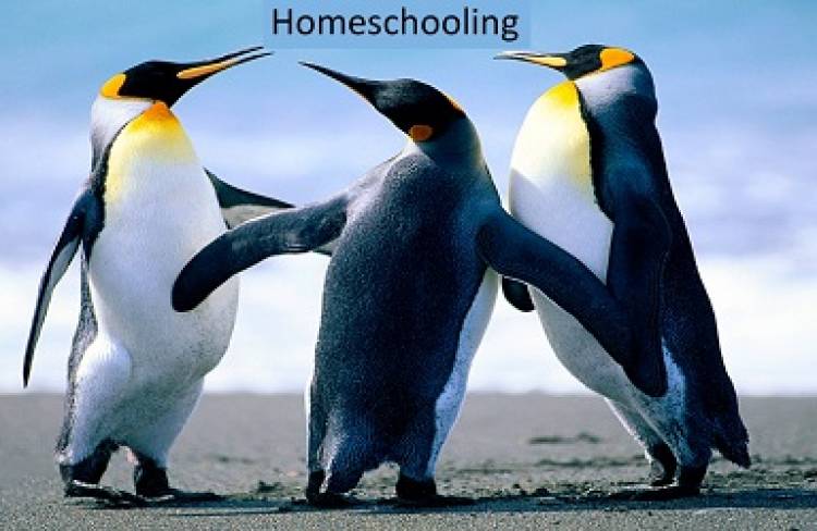 Home Schooling in India