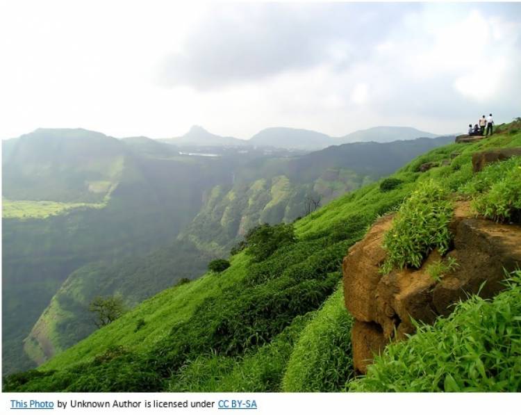 Organic Farming in India
