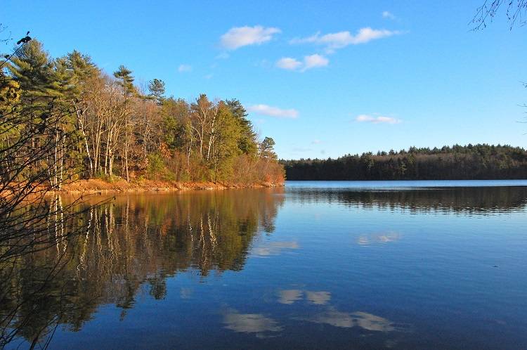 Walden